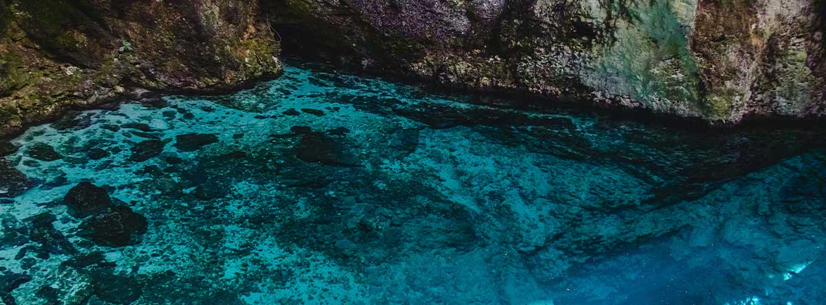 ¿Conoces los cenotes de Punta Cana?
