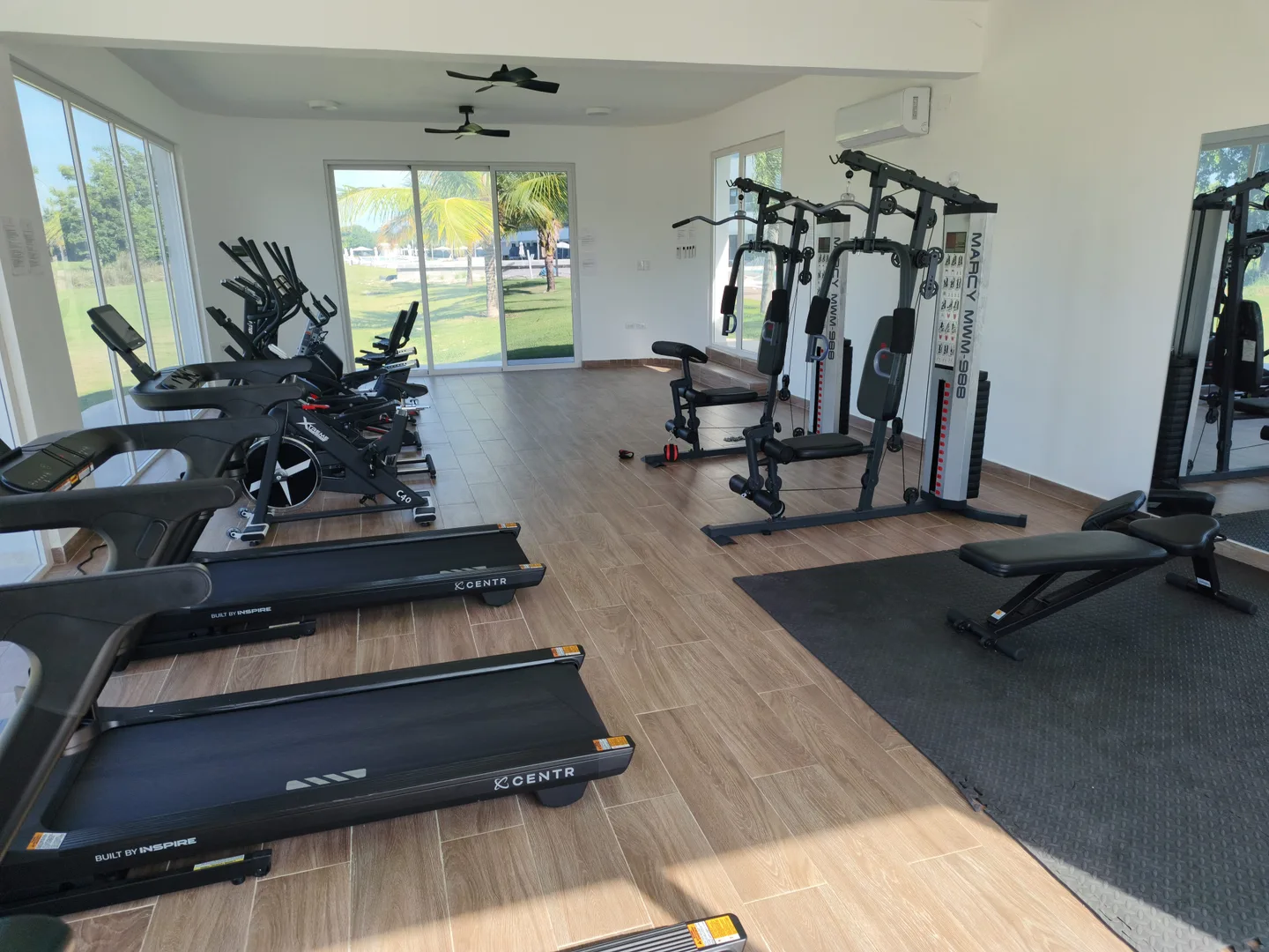 Cana Rock Star - Gym